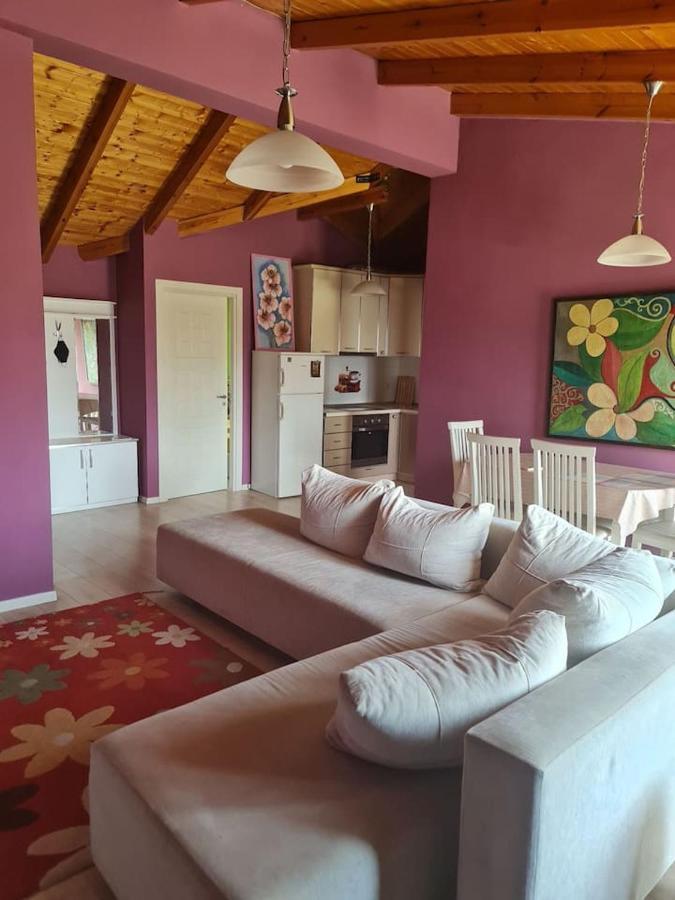 Penthahouse Shallvare Тирана Экстерьер фото